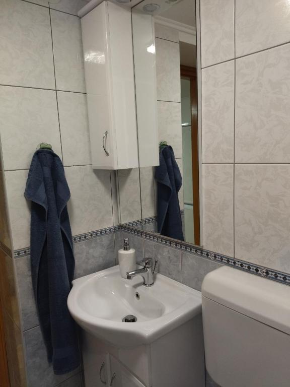 Koupelna v ubytování Ezüsthíd Vendégház