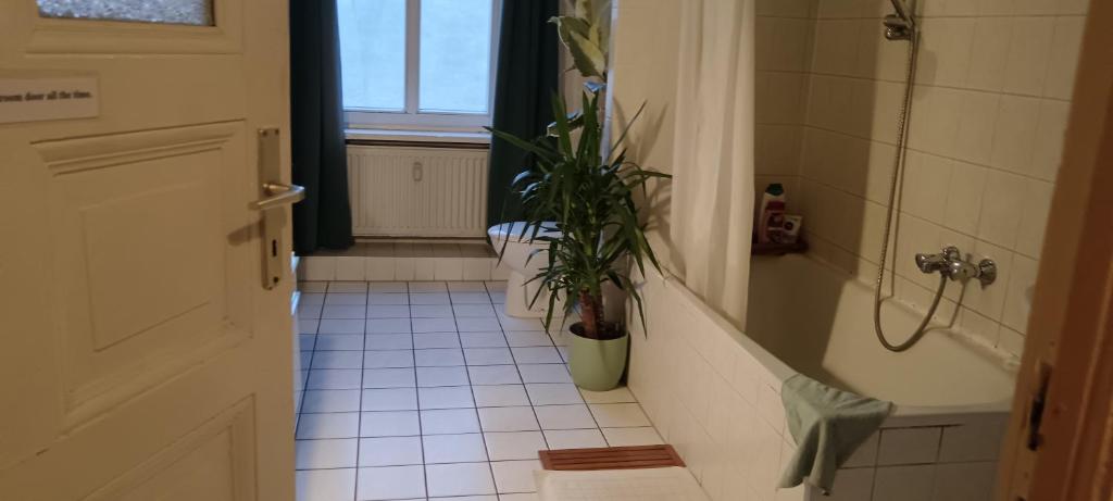 رزرو هتل و هاستل، اتاق خواب خصوصی در نزدیکی Alexanderplatz در آپارتمان مشترک, 09197245266
