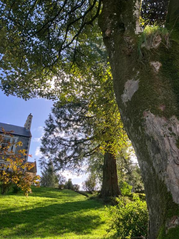 Zahrada ubytování Above & Beyond at Warriston Lodge