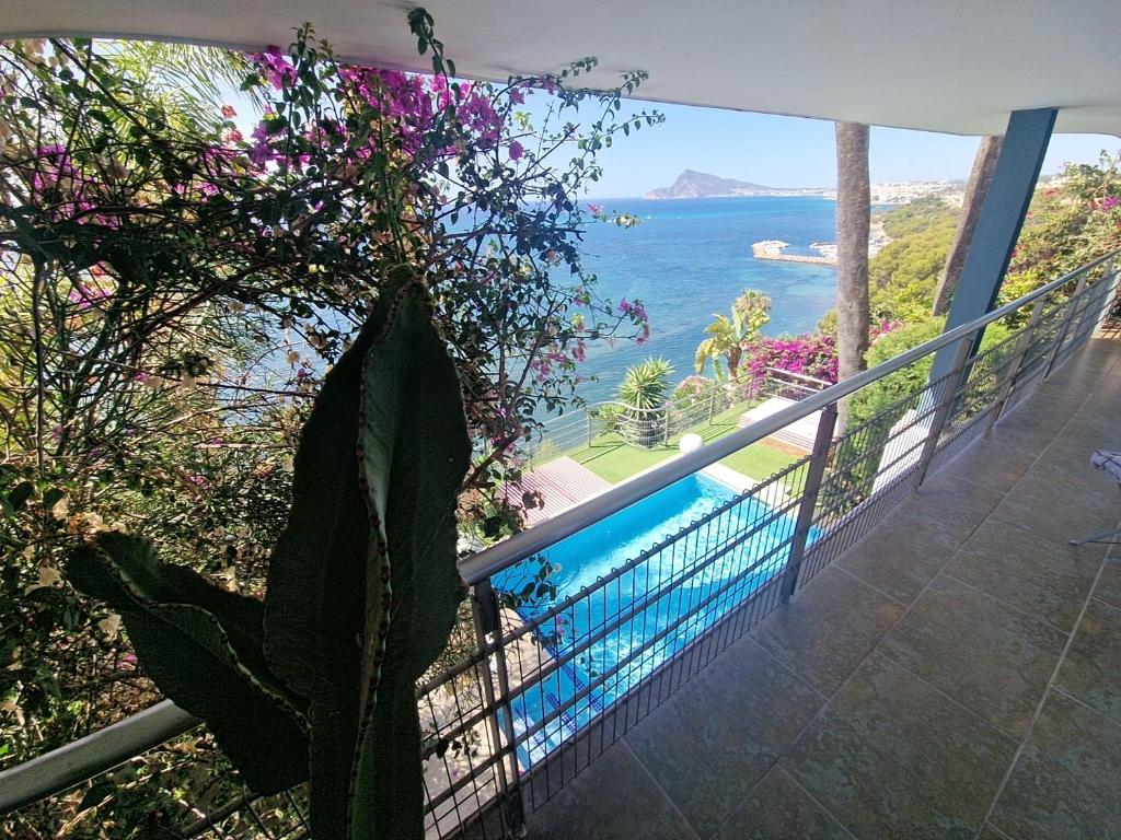 Condesa del Mar apartamentos adults only - 10