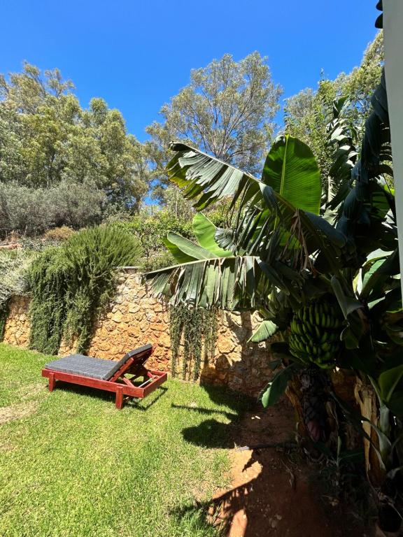 Vonkajšia záhrada v ubytovaní Physis Villas Chania