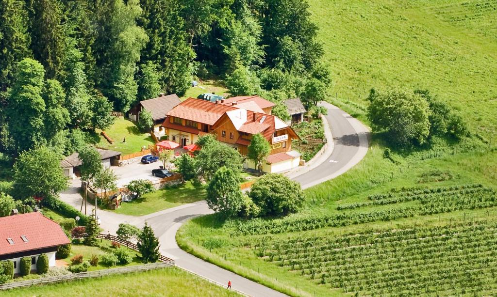 an aerial view of a house on a hill with a road at Waldhof in Villach