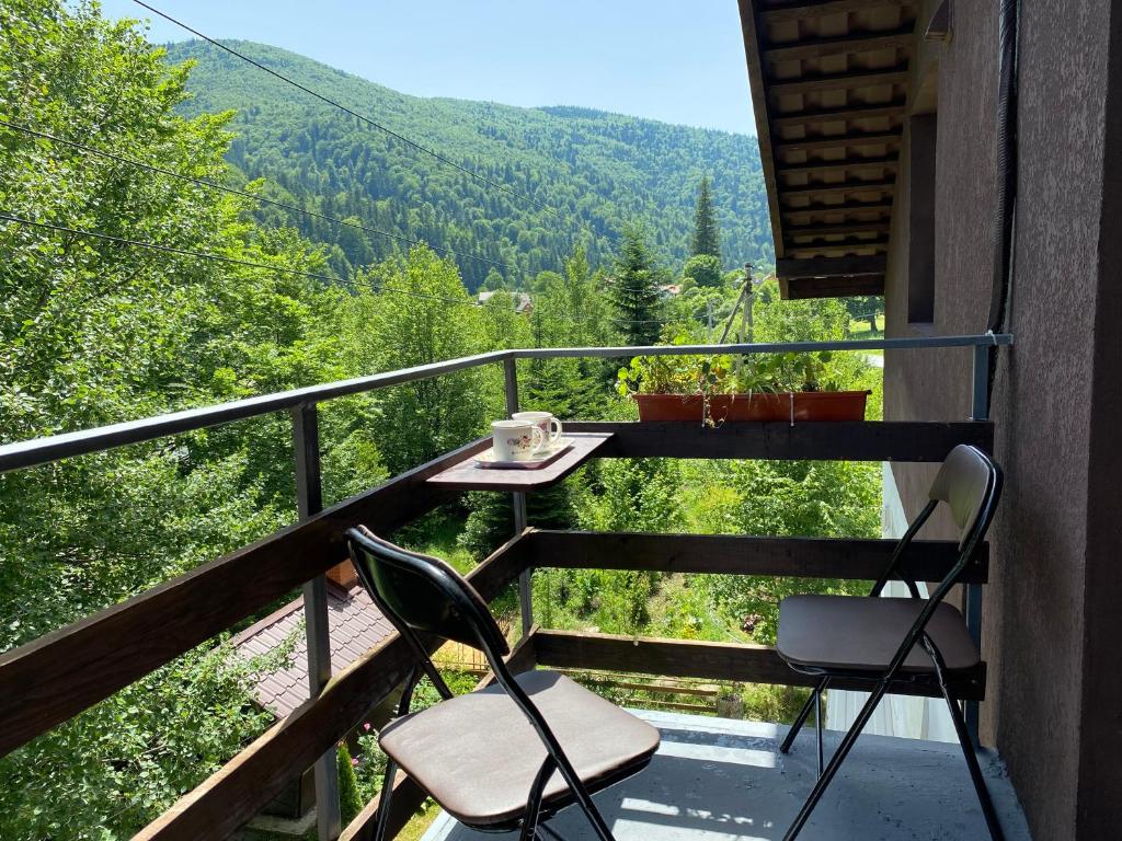 Nespecifikovaný výhled na hory nebo výhled na hory při pohledu z hotelu