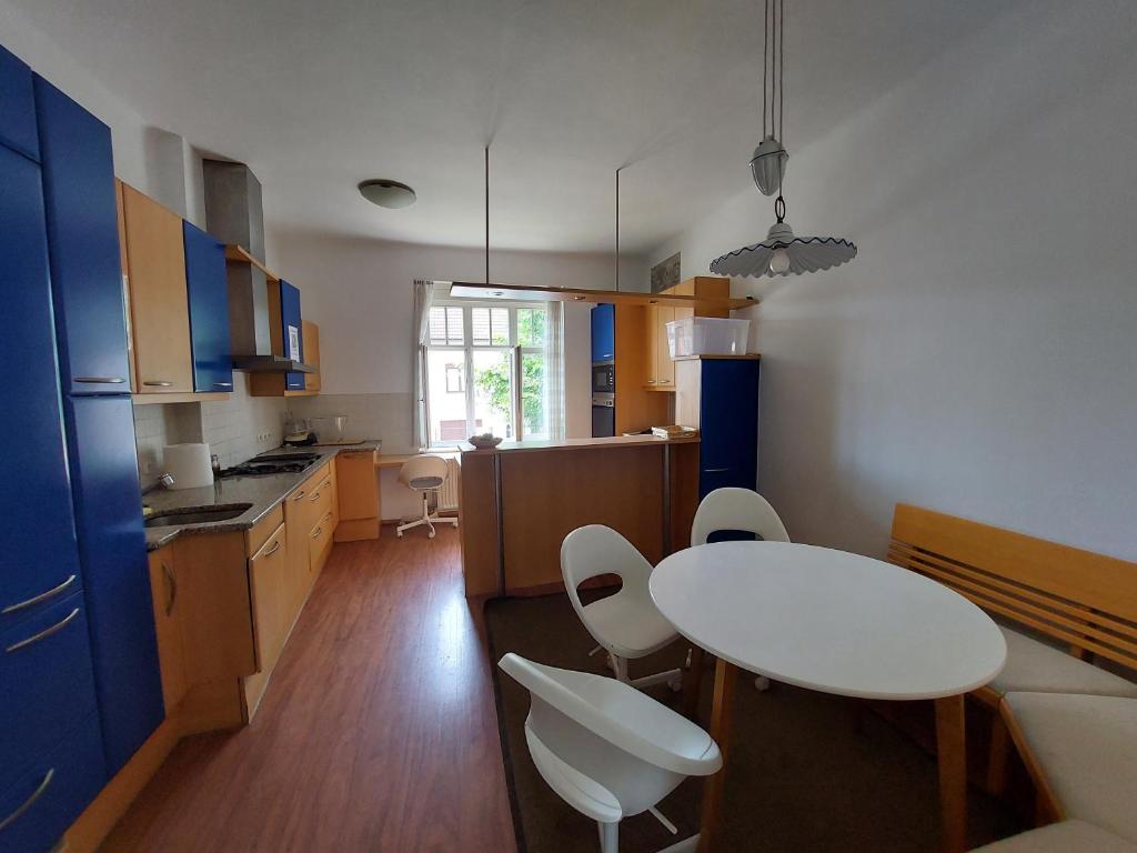 Kuchyň nebo kuchyňský kout v ubytování ROSE house - greenline accomodations