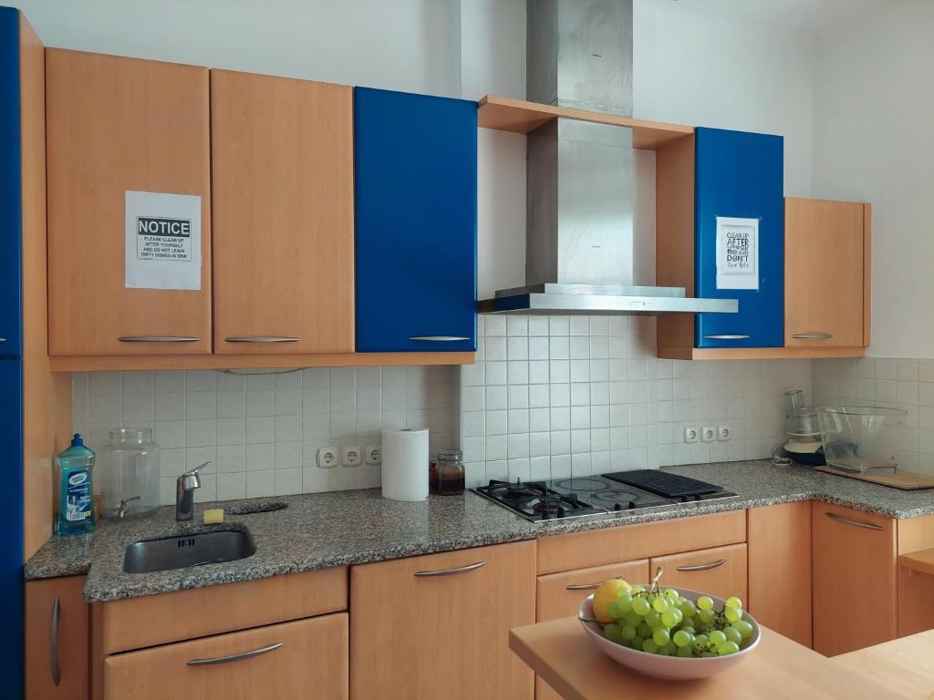 Kuchyň nebo kuchyňský kout v ubytování ROSE house - greenline accomodations