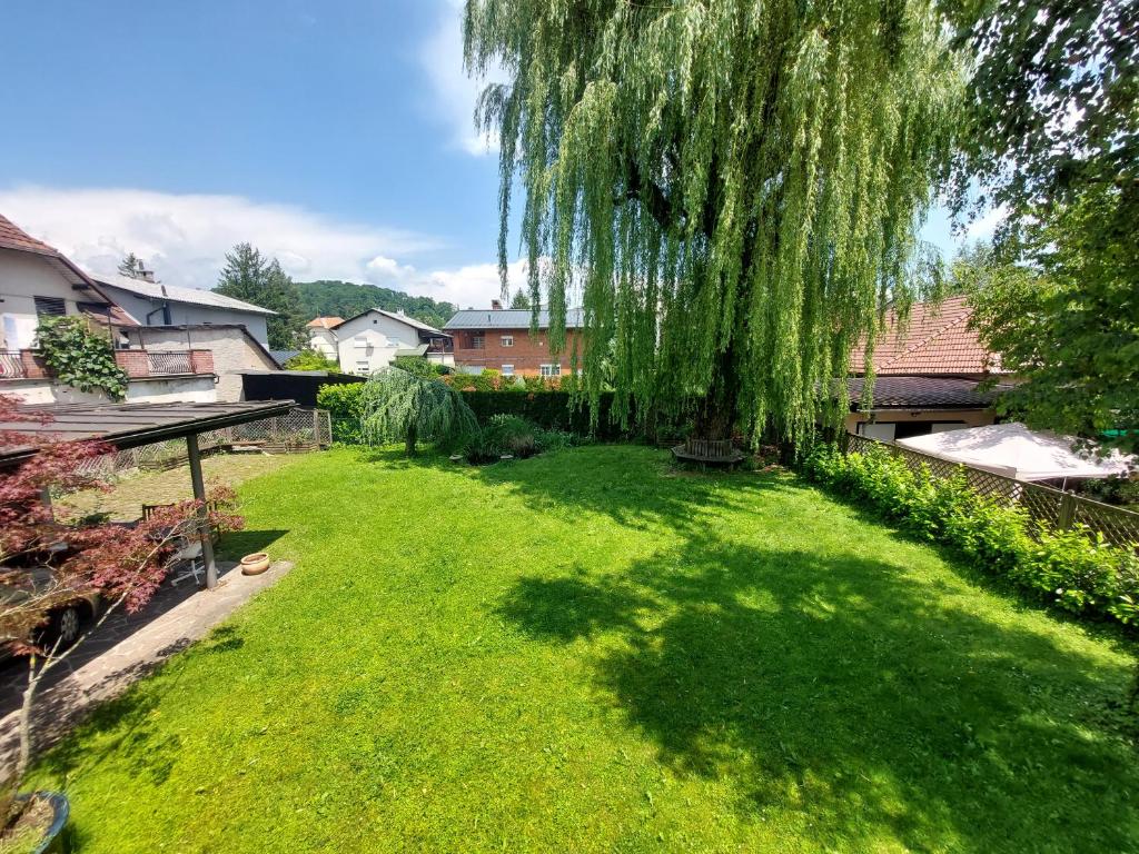 Zahrada ubytování ROSE house - greenline accomodations