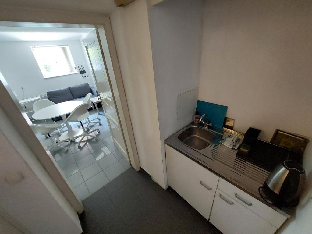 Kuchyň nebo kuchyňský kout v ubytování ROSE house - greenline accomodations