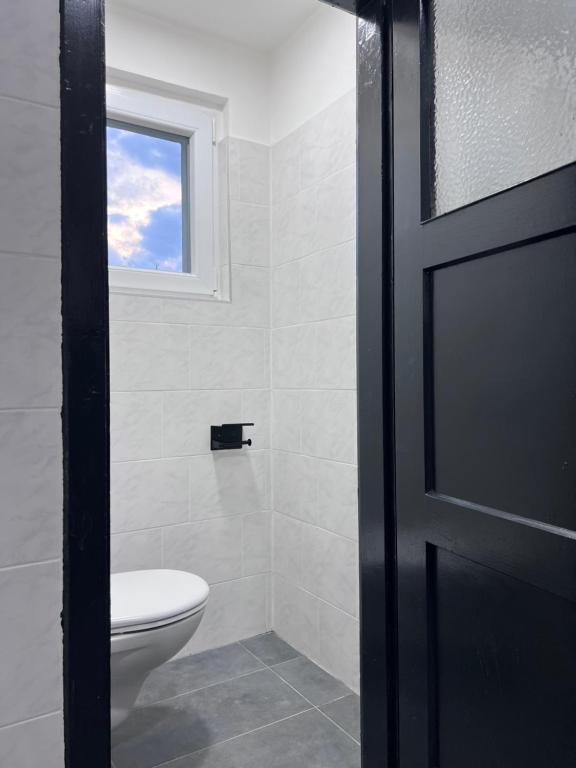 a bathroom with a toilet and a window at ROYAL RACiING SUITE TOP 4 in Judenburg