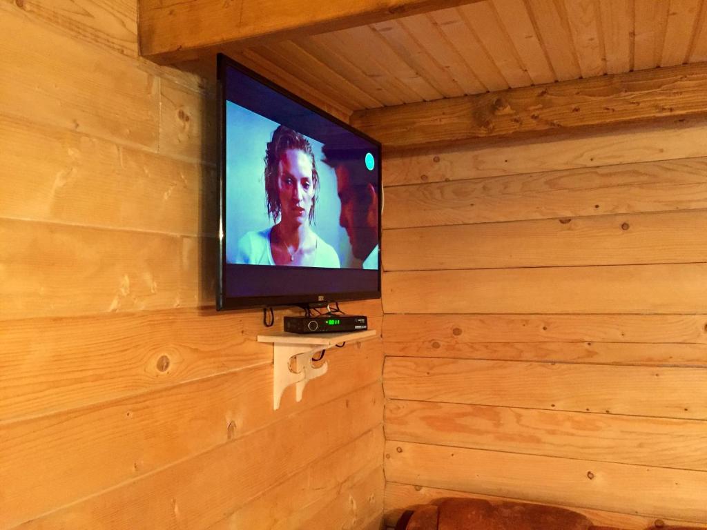 TV a/nebo společenská místnost v ubytování Villa PidStromom
