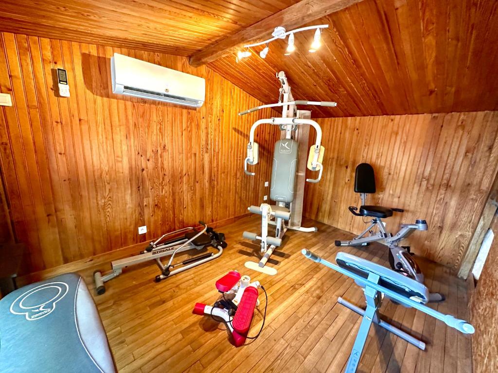 Fitness centrum a/nebo fitness zařízení v ubytování Lacosse