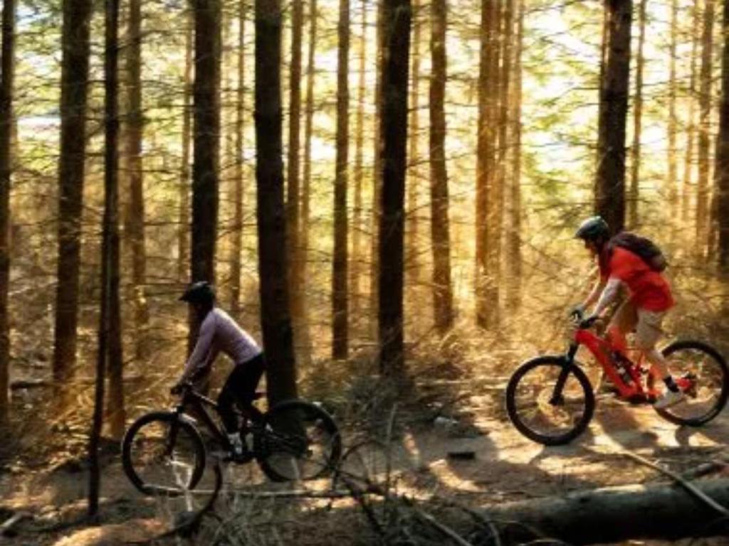 Wanaka Springs Lodge - Resim 35