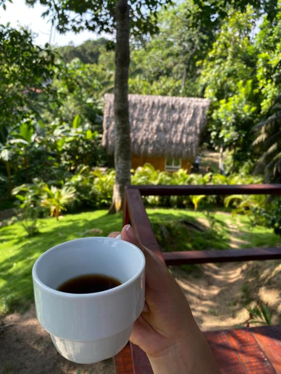 Jardí fora de Tiny Houses Unique Tayrona - Dentro del Parque Tayrona