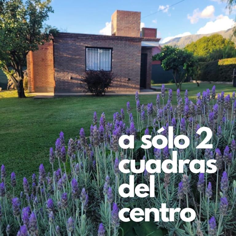 Apart Picaflores - Deluxe Apartment