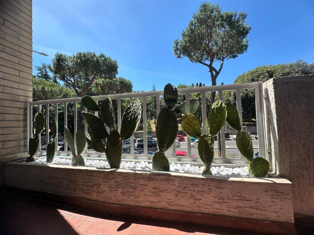 St.Peter's Moon - 11