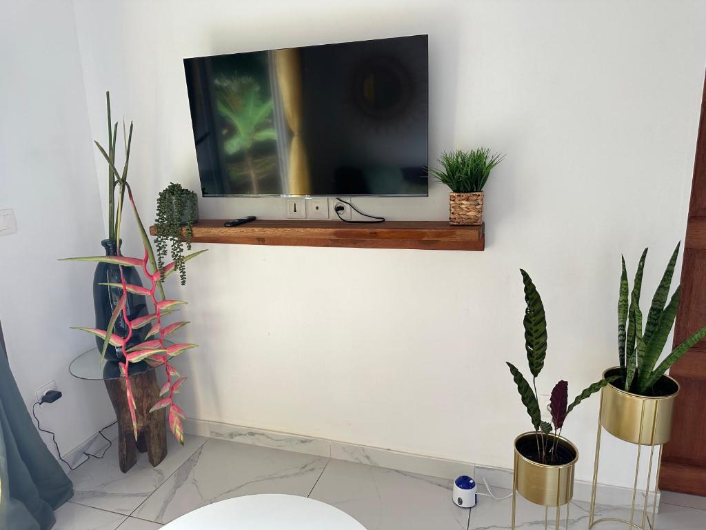 Una televisión o centro de entretenimiento en Okatea Lodge