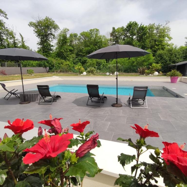 Zdjęcie z galerii obiektu Le SPA de l Albizia w mieście Cessieu