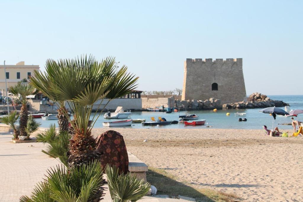 a beach with a palm tree and a castle at Hotel Cicò in Torre Santa Sabina