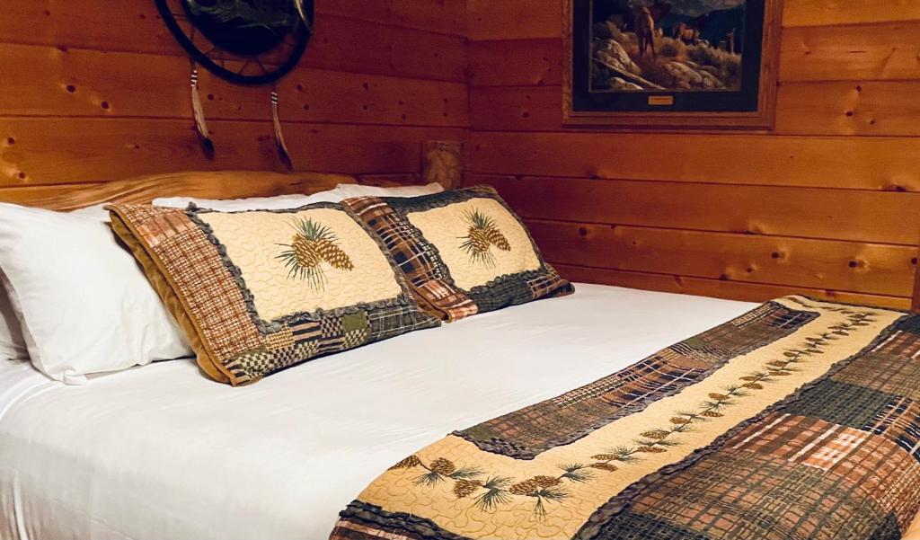 Badlands Frontier Cabins photo