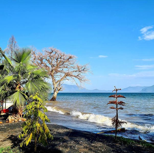 Volunteervibe guest rooms, Mbita (updated prices 2024)