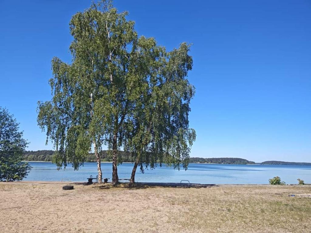 Príroda v okolí dovolenkového domu