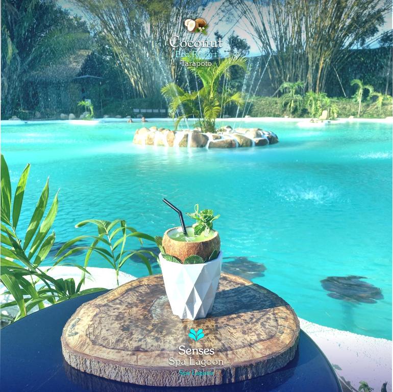 Příroda nedaleko rezortu