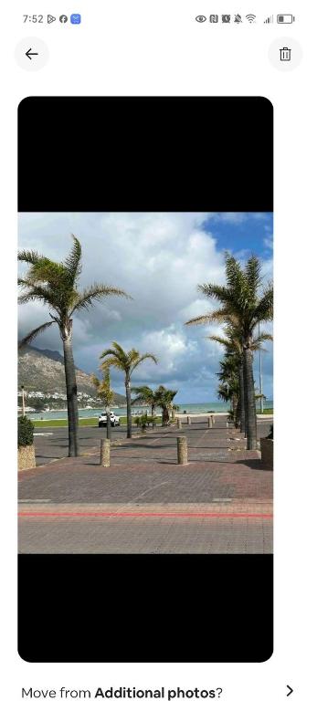 ゴードンズ・ベイにあるSea View Roomの浜辺のヤシの木像