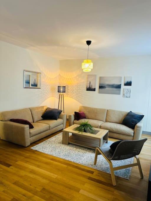 un salon avec deux canapés et une table basse dans l'établissement Appartement spacieux en centre ville, à Vendôme