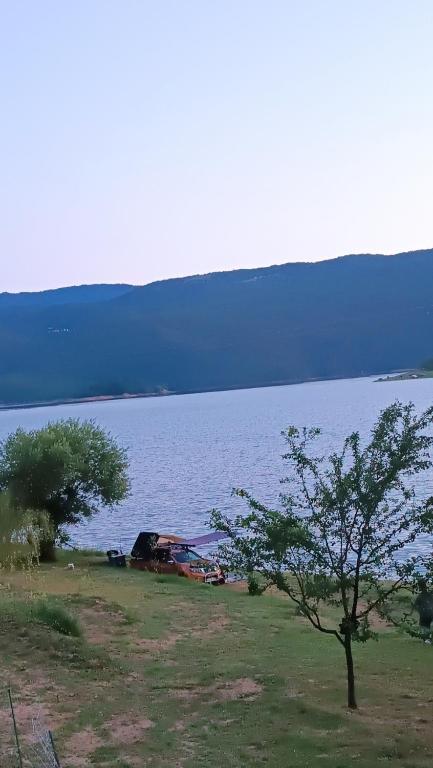 Příroda nedaleko kempu