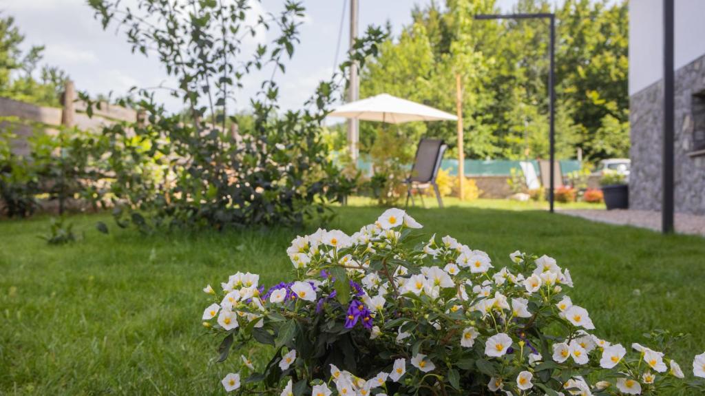 Zahrada ubytování PLITVICKA KUCA M - Holiday Lodge
