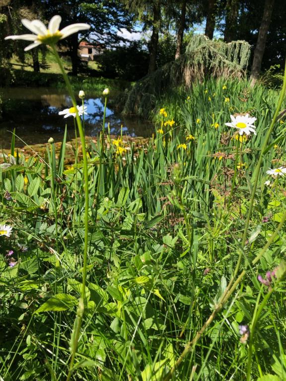 Zahrada ubytování Les Renardières - Usson en Forez