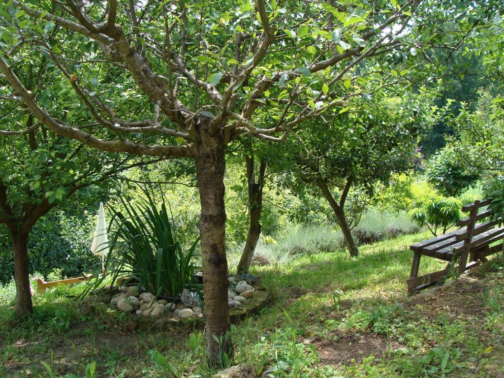 Zahrada ubytování Appartamento in Monferrato di domInga