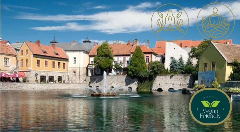 Malom-tó Vendégház Tapolca 8300 Tapolca, Zrinyi Miklos utca 4 kép - 1