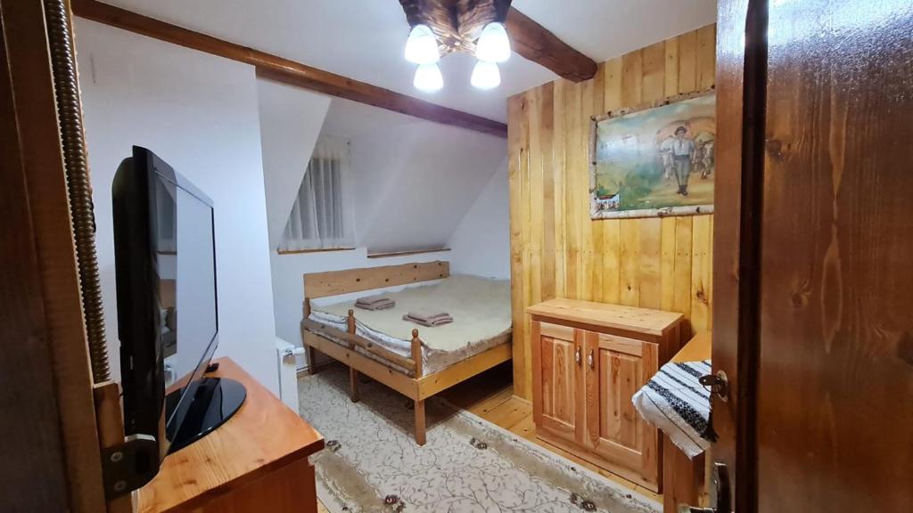 LotrioaraにあるCarla Maria Houseの小さなベッド1台、テレビが備わる小さな客室です。