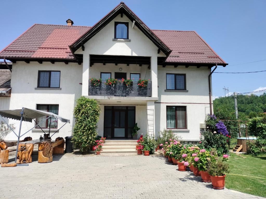 a white house with potted plants in front of it at Casa Cornelia in Bran