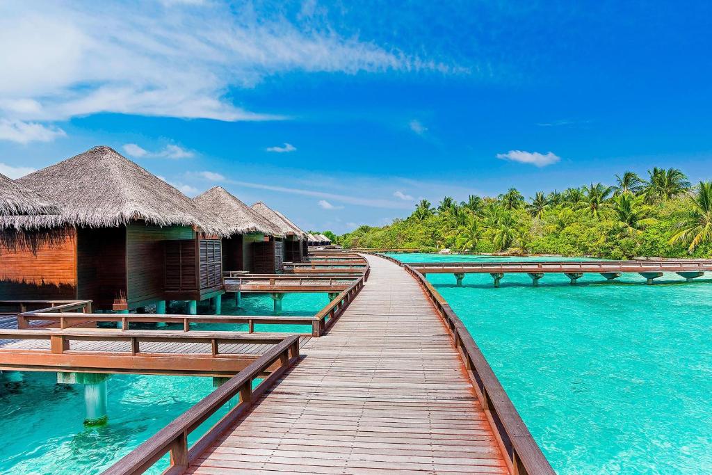 Sheraton Maldives Full Moon Resort & Spa - View 42