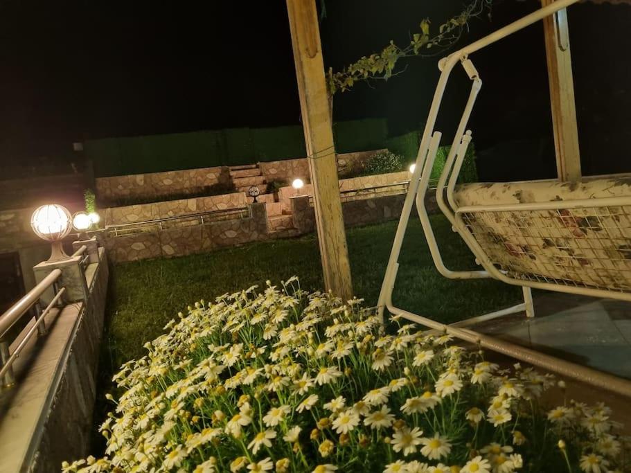 Zahrada ubytování Ayvalık Altınova Denize Sıfır Tripleks Yazlıık Villa