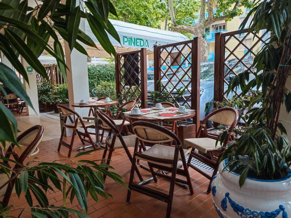 Zahrada ubytování Aparthotel Pineda