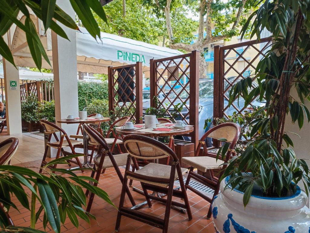 Zahrada ubytování Aparthotel Pineda