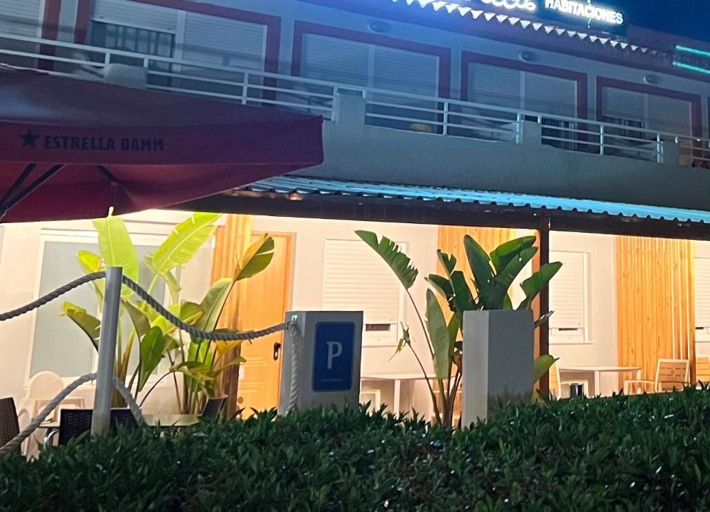 A garden outside Pensión La Ola