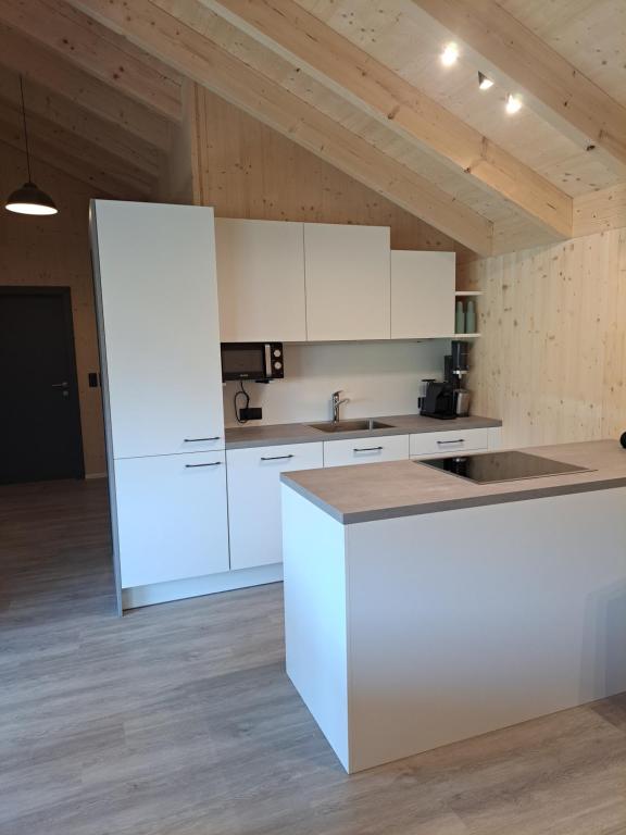 Kuchyň nebo kuchyňský kout v ubytování Ferienhaus und Ferienappartements Brunner