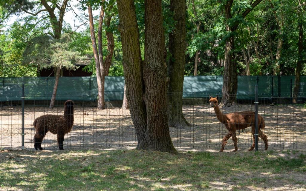 Centrum Szkoleniowo-Konferencyjne - Resim 33
