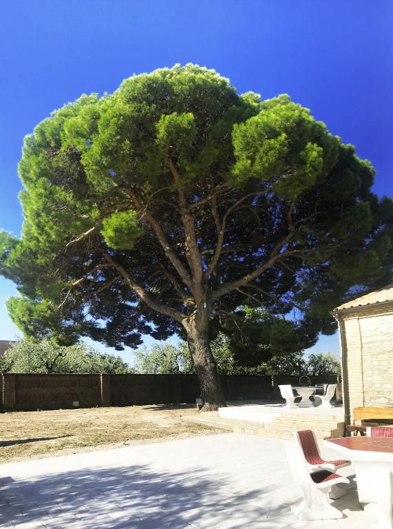Fotografie z fotogalerie ubytování Le Tre Lune B&B v destinaci Lucera