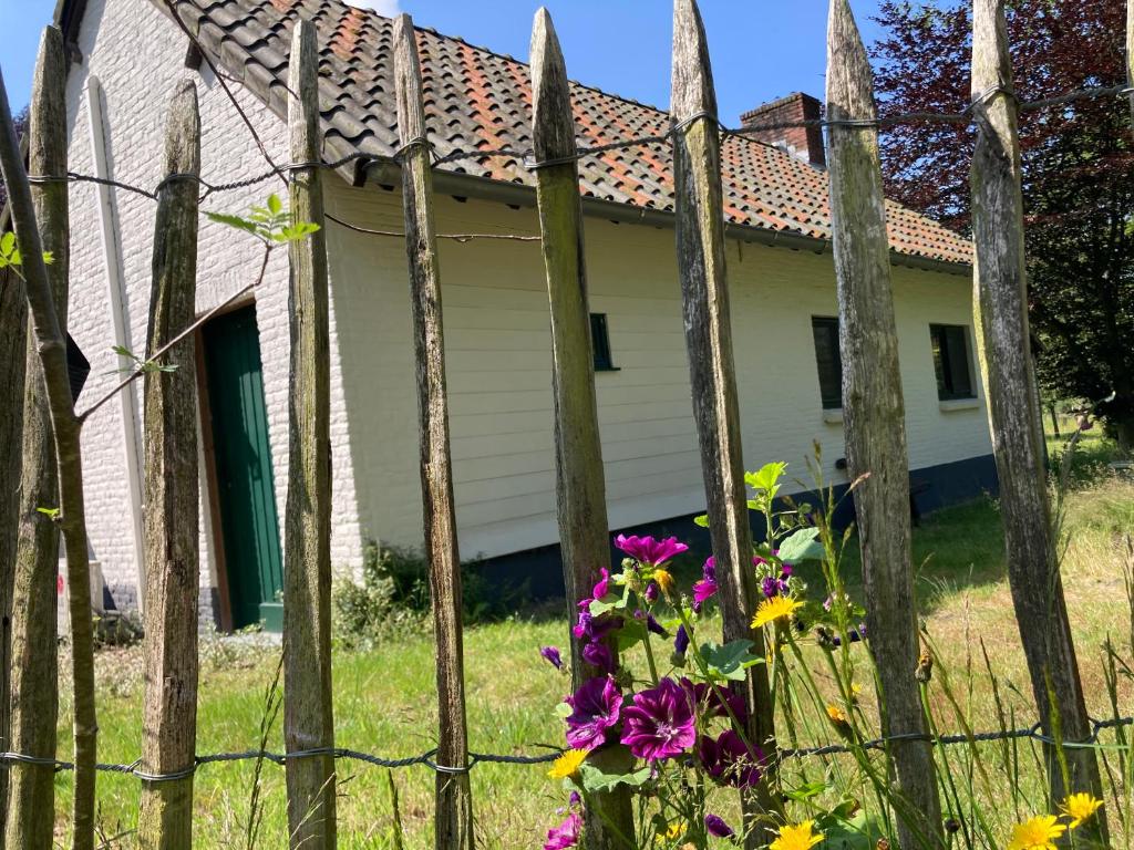 O grădină în afara Lafontaine
