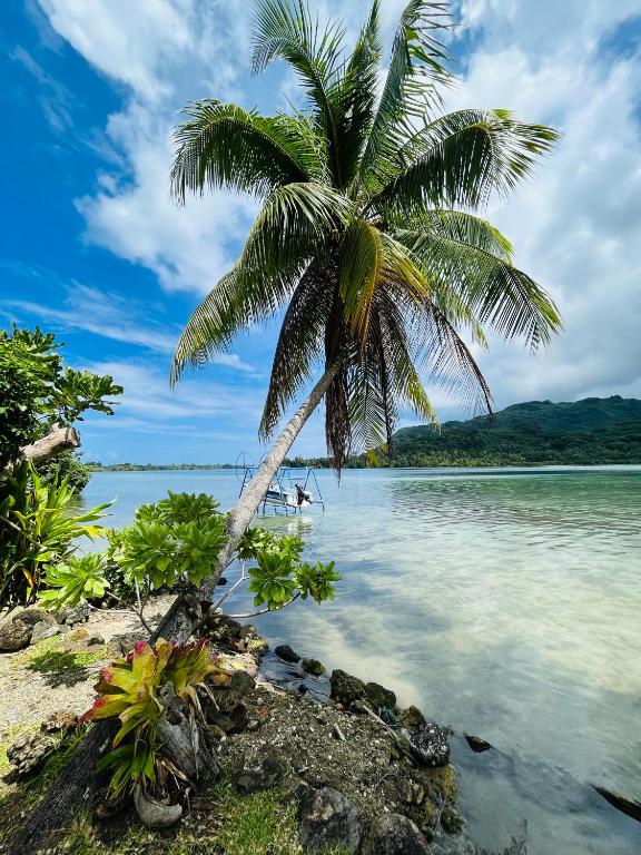 Blue Coral House, Luxury Waterfront - photo 6 - Huahine, Polynésie