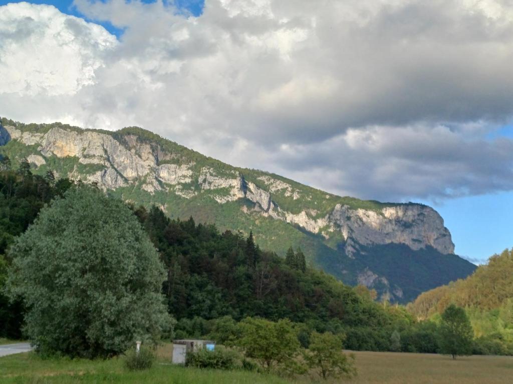 Příroda nedaleko apartmánu
