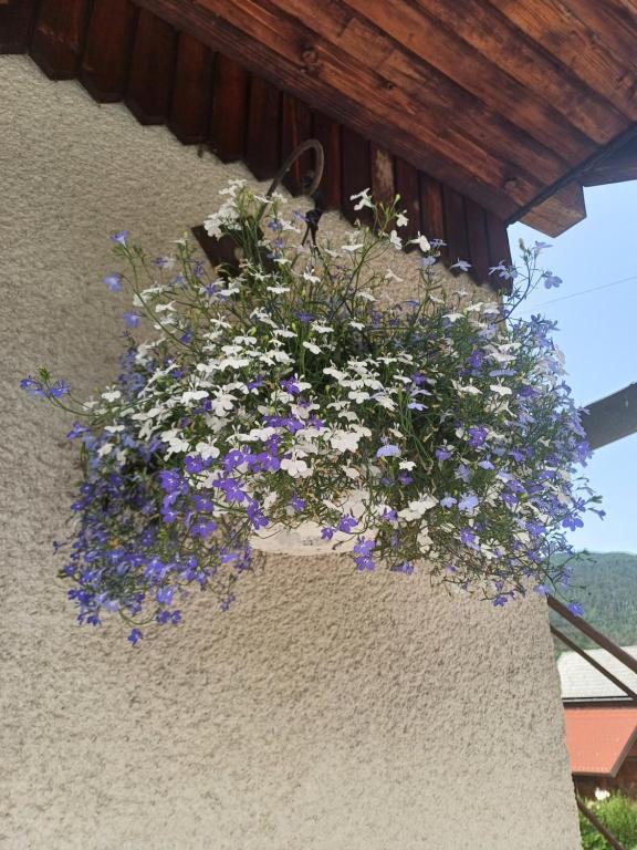 Zahrada ubytování Apartma Ginga