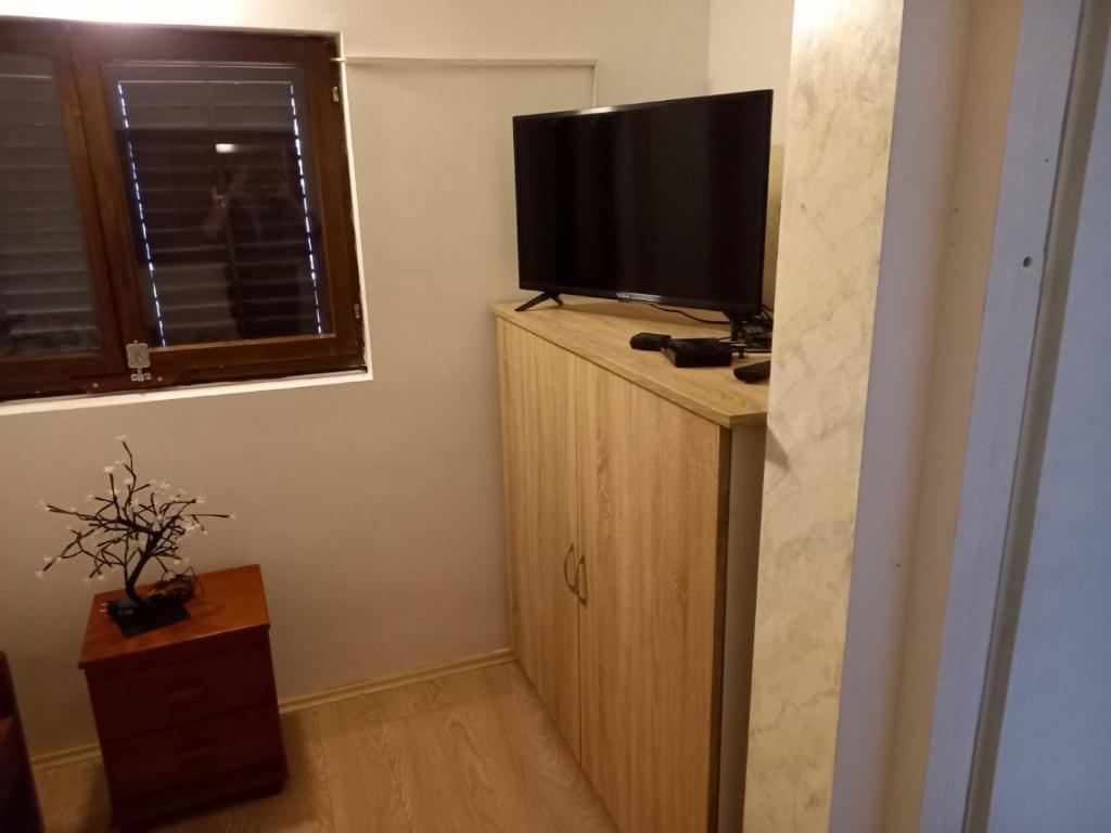 TV a/nebo společenská místnost v ubytování Apartman medju borovima 2