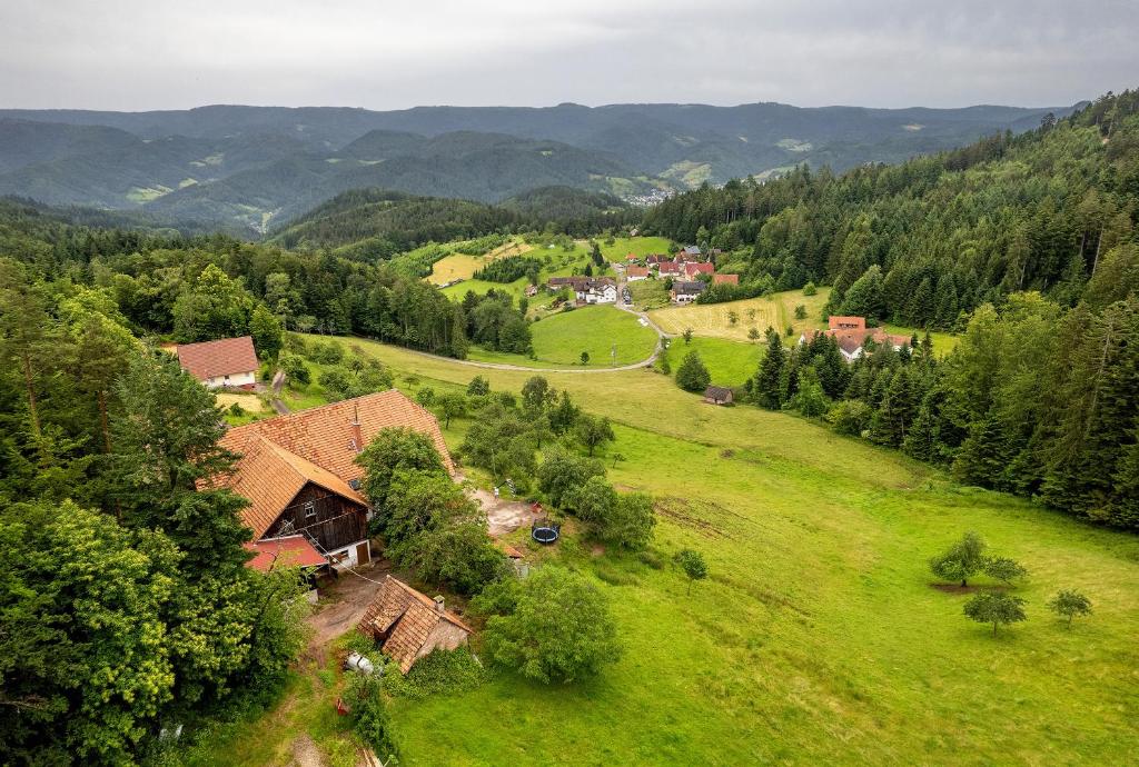 Příroda nedaleko apartmánu