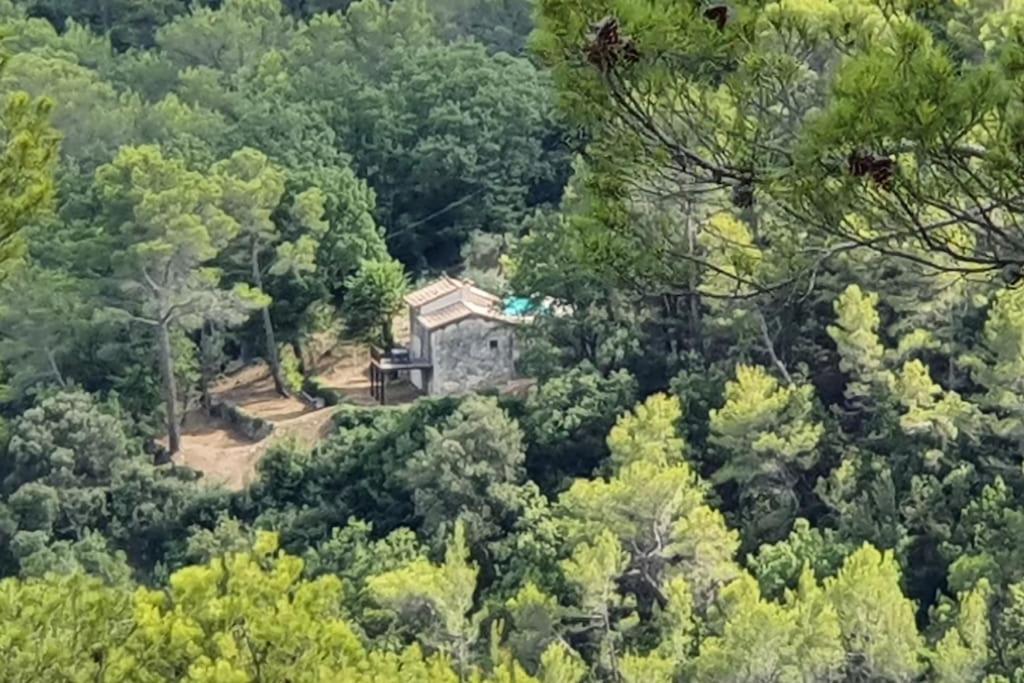 Photo de la galerie de l'établissement L'Oustalou,nature et tranquillité, à Claviers