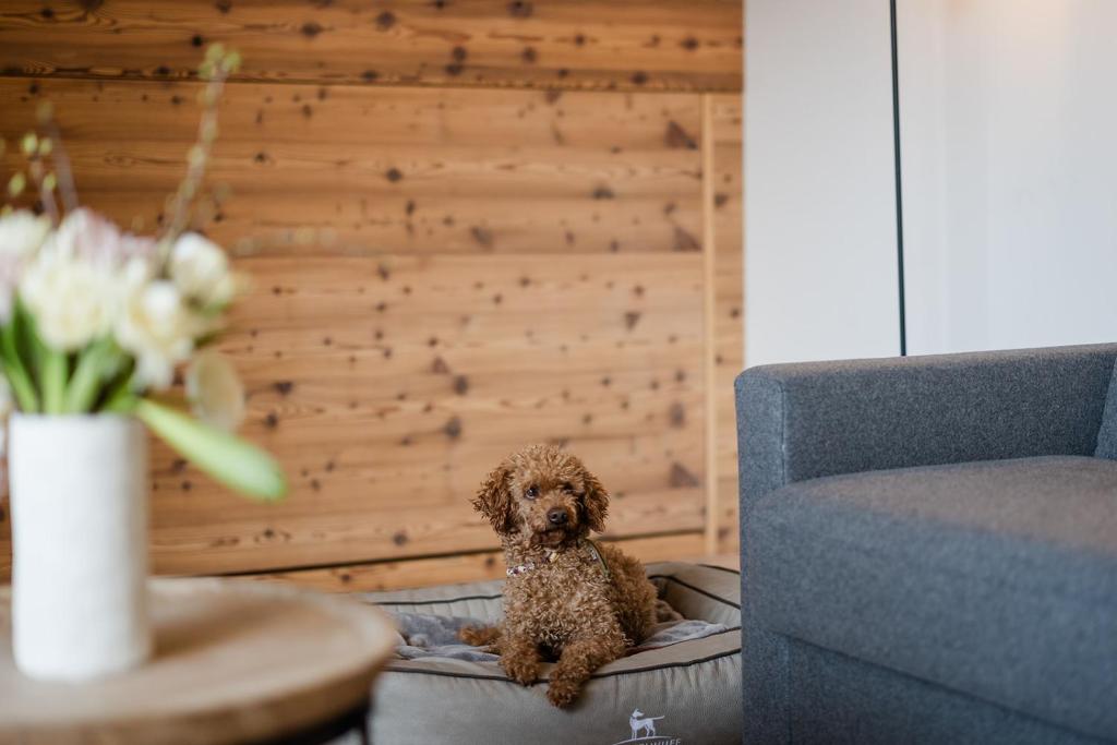 Posezení v ubytování Hotel Bergzeit